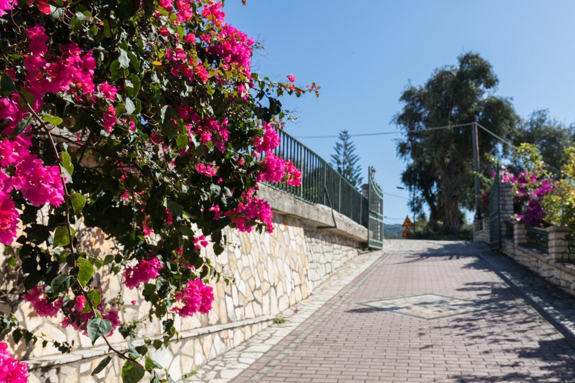 Villa Anthoussa In Palaiokastritsa Екстериор снимка